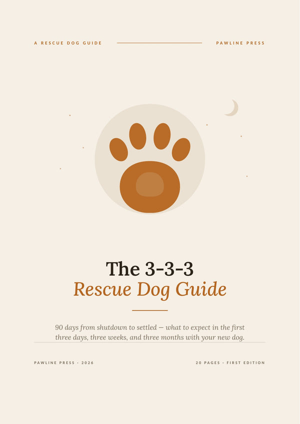 The 3-3-3 Rescue Dog Guide: 90 Days From Shutdown to Settled page 1