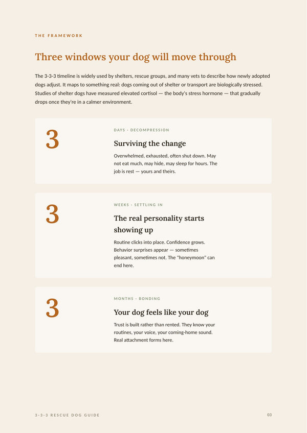 The 3-3-3 Rescue Dog Guide: 90 Days From Shutdown to Settled page 3