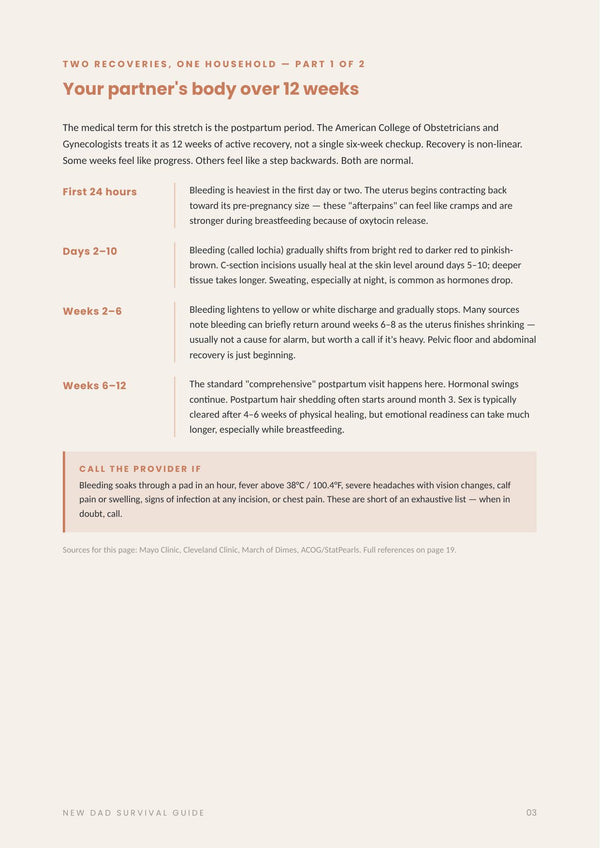 New Dad Survival Guide — The Postpartum Edition page 3