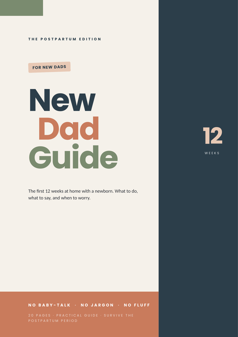 New Dad Survival Guide — The Postpartum Edition — cover