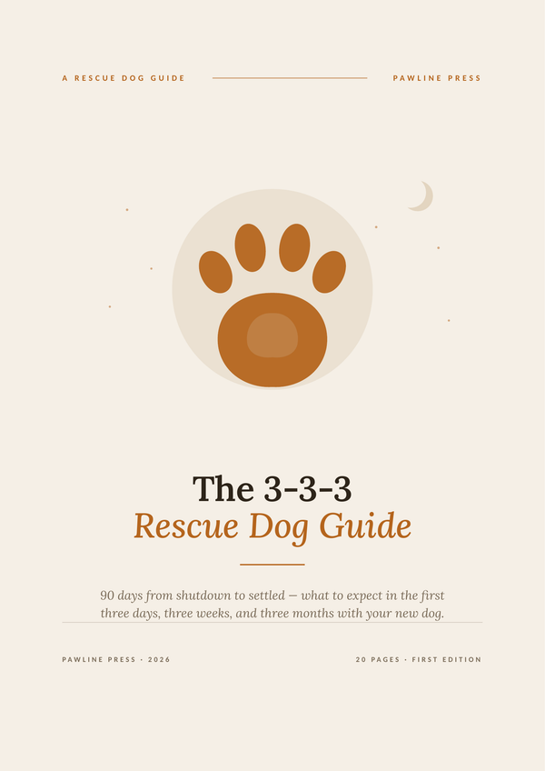 The 3-3-3 Rescue Dog Guide: 90 Days From Shutdown to Settled — cover