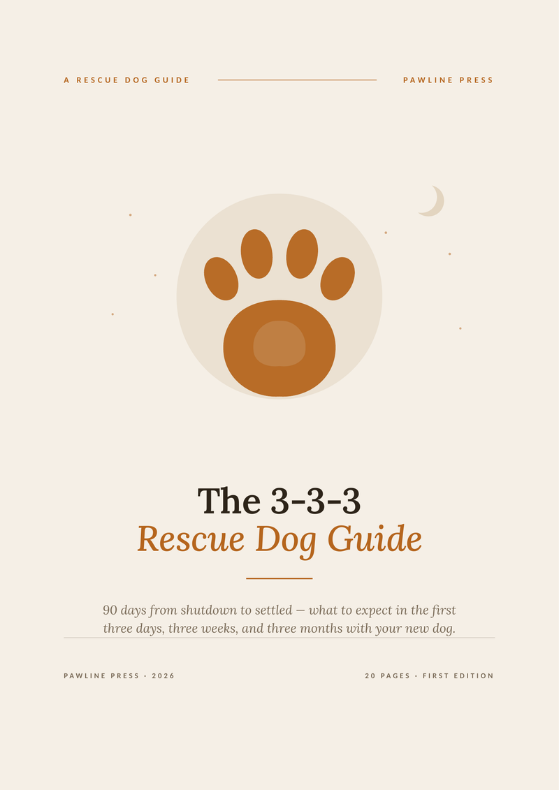 The 3-3-3 Rescue Dog Guide: 90 Days From Shutdown to Settled — cover
