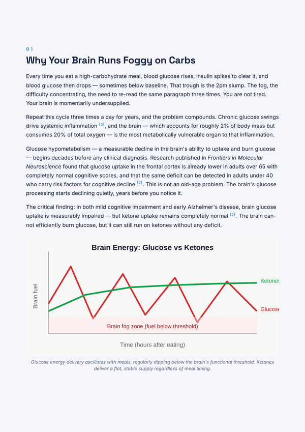 Keto for Brain Fog: The Nootropic Meal Plan page 3