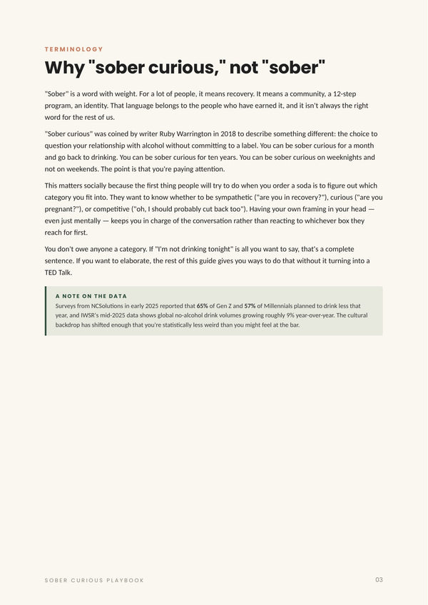 The Sober Curious Playbook: Weddings, Dating & Social Life Without the Drink page 3