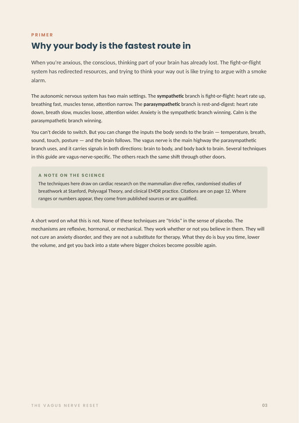 The Vagus Nerve Reset page 3